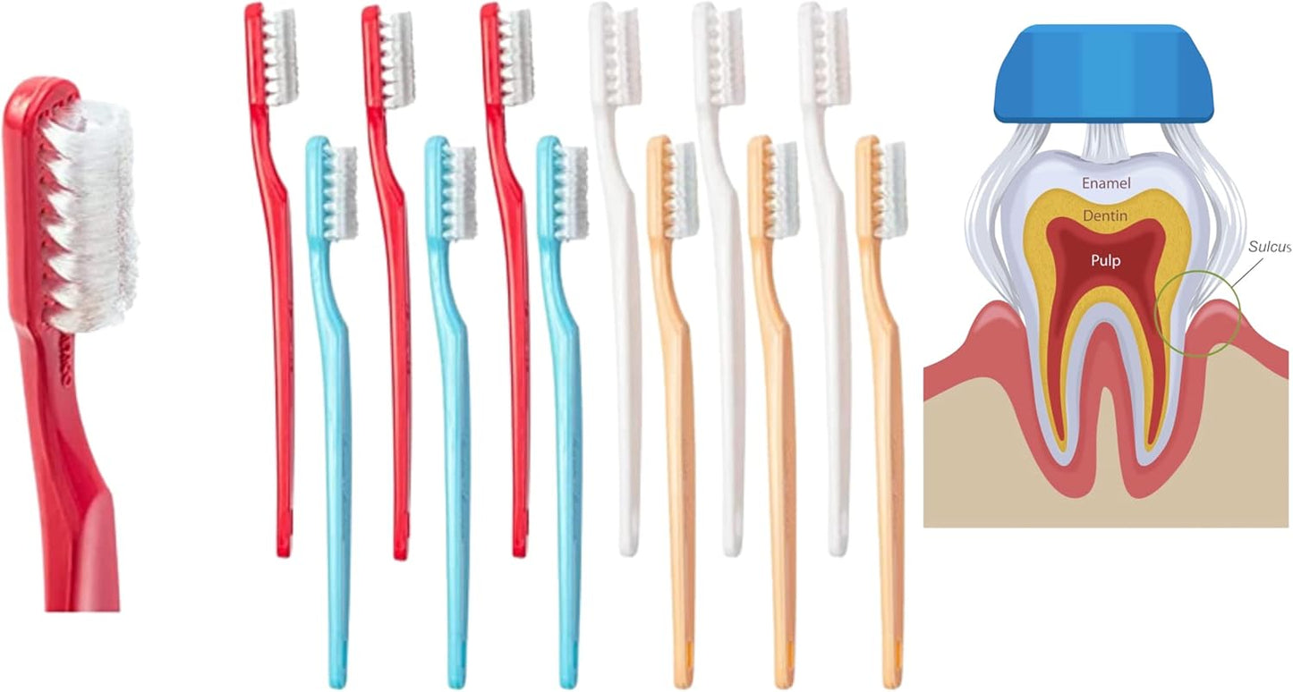 Collis Curve - Soft 3 Sided Toothbrush - Orthodontic Toothbrushes 12 Pack